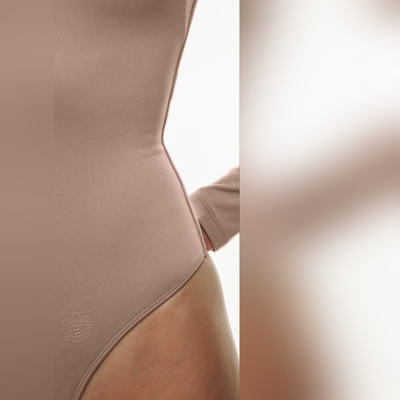 Aritzia Babaton Contour V-Nevk Long Sleeve Bodysuit - Deep Taupe - Picture 5 of 7